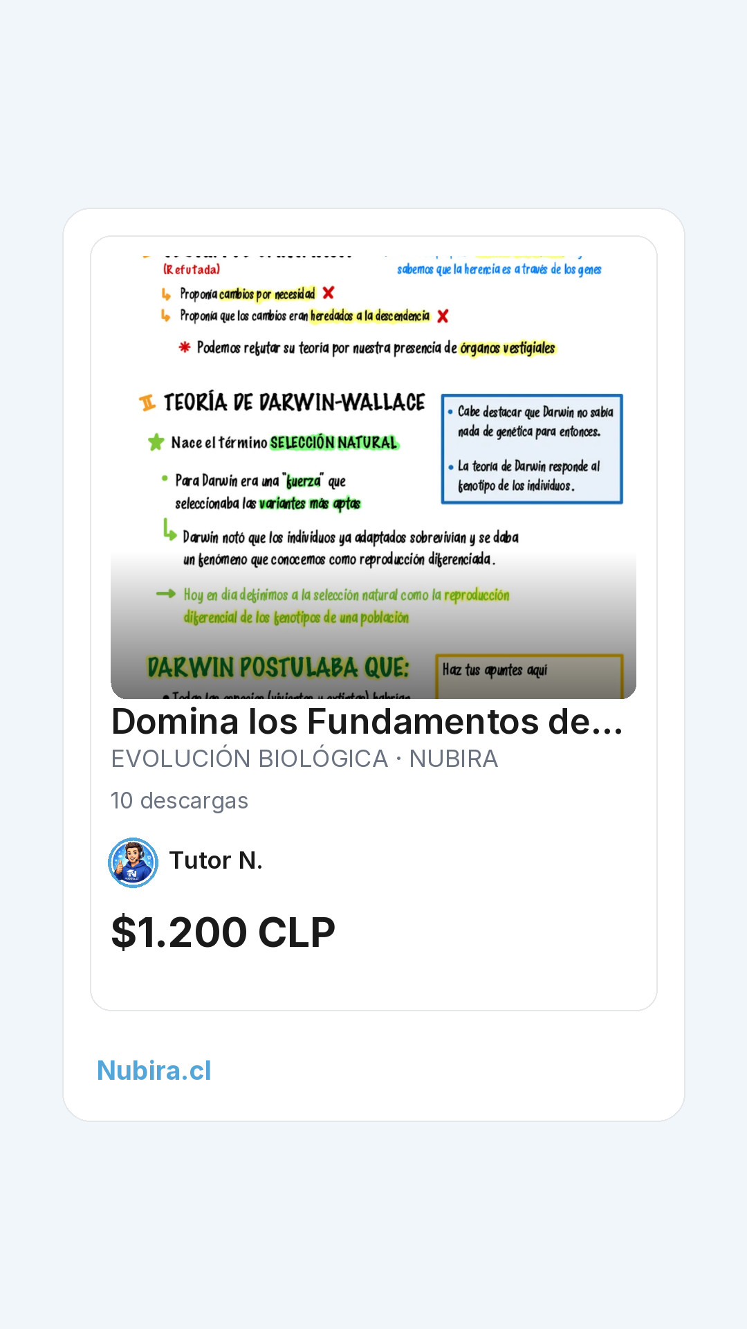 Vista previa historia