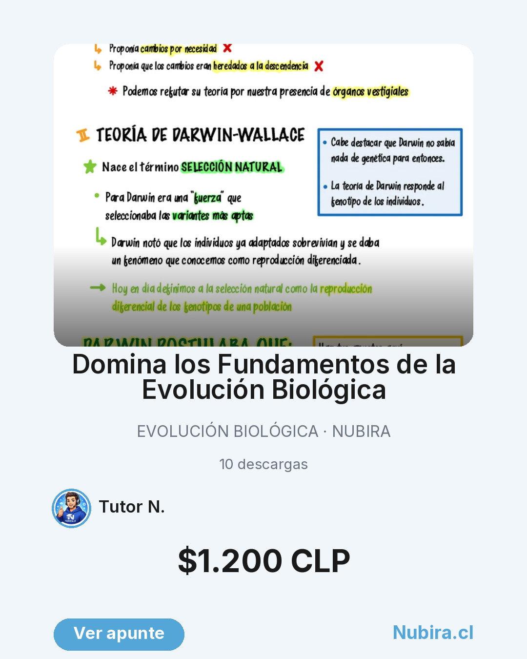 Vista previa publicación