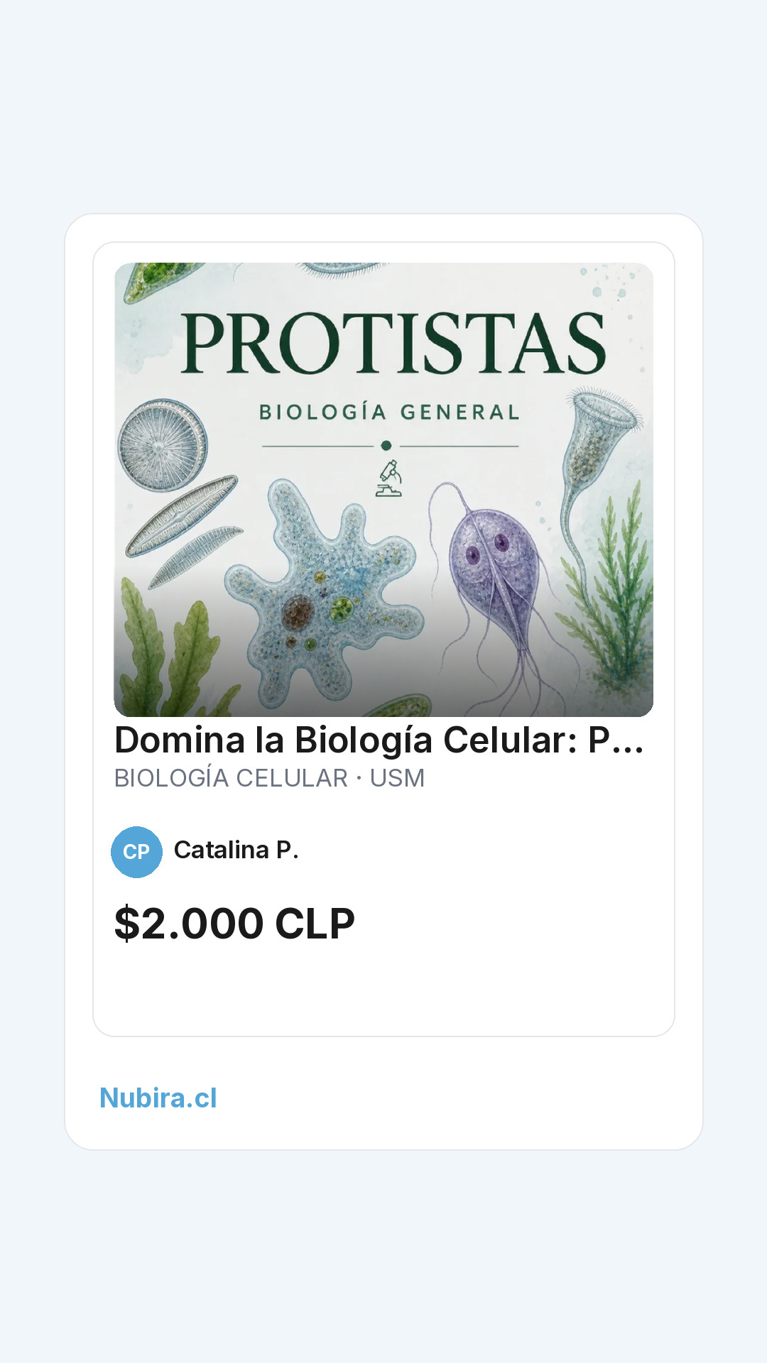Vista previa historia