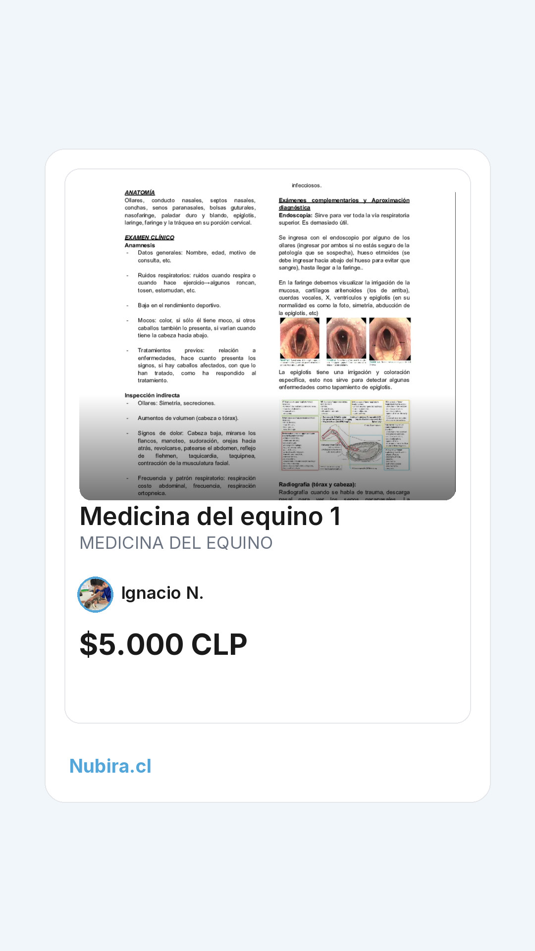 Vista previa historia