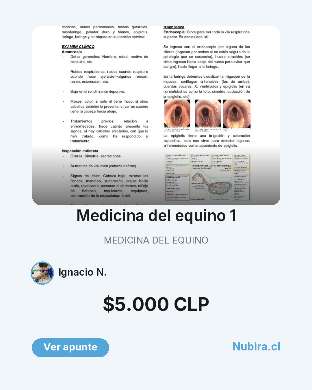 Vista previa publicación