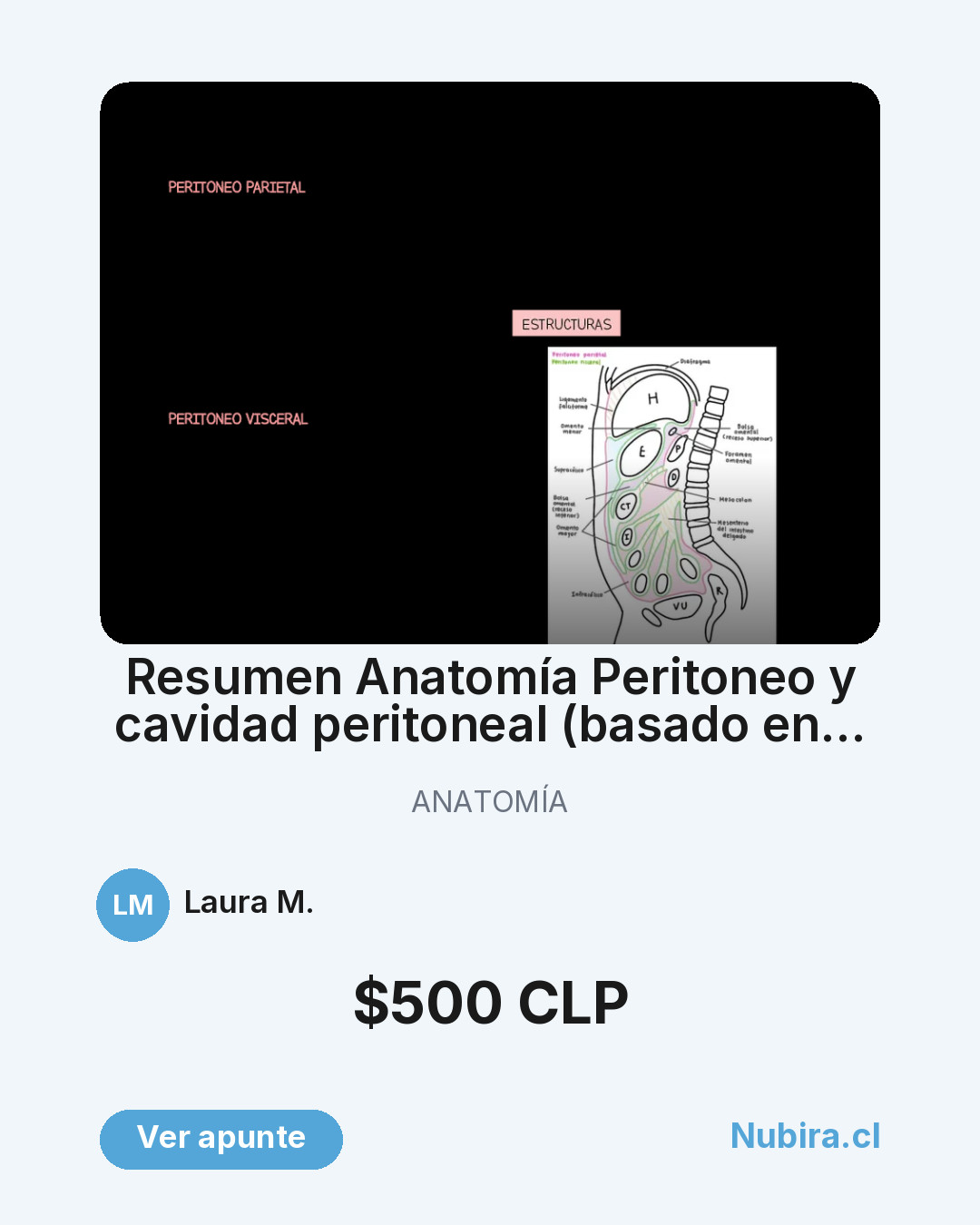 Vista previa publicación