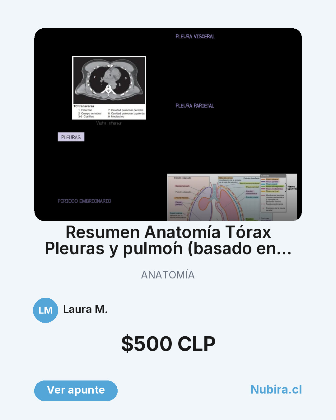 Vista previa publicación