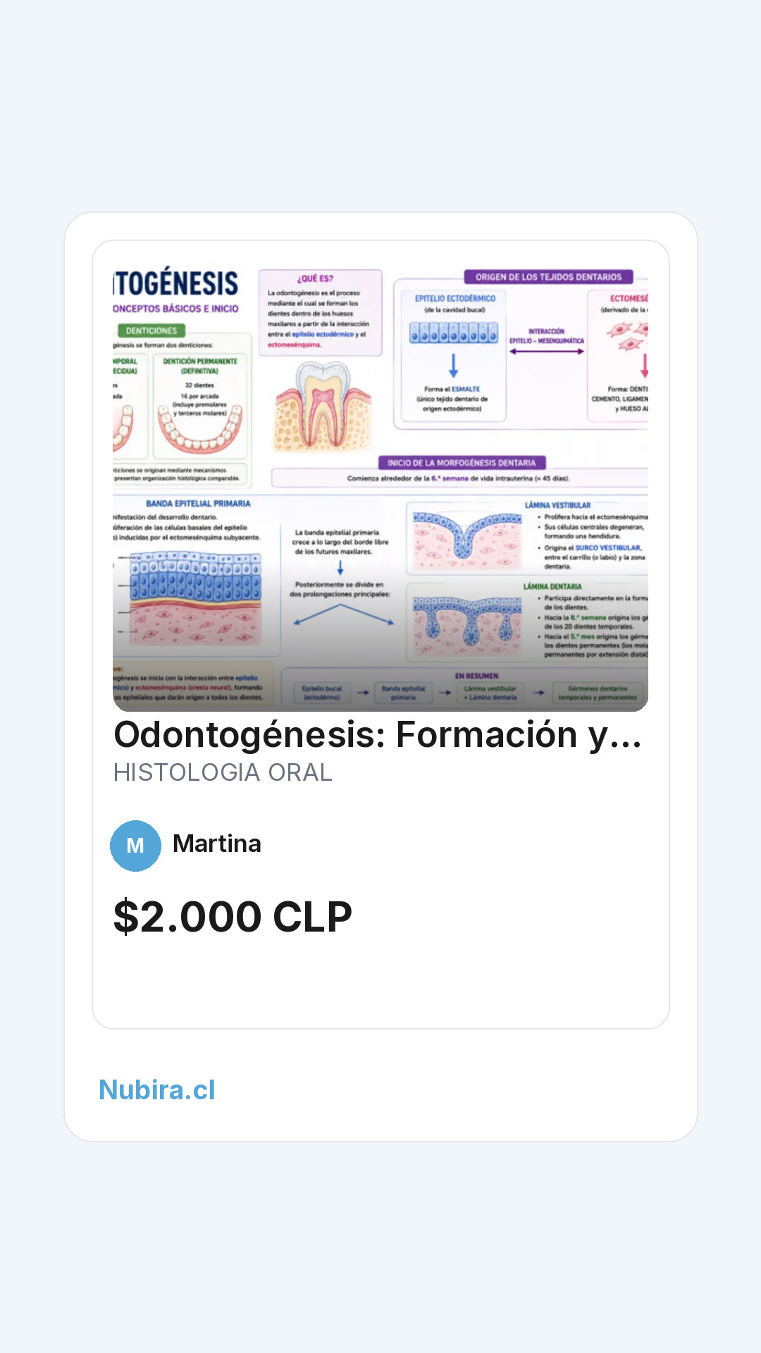 Vista previa historia