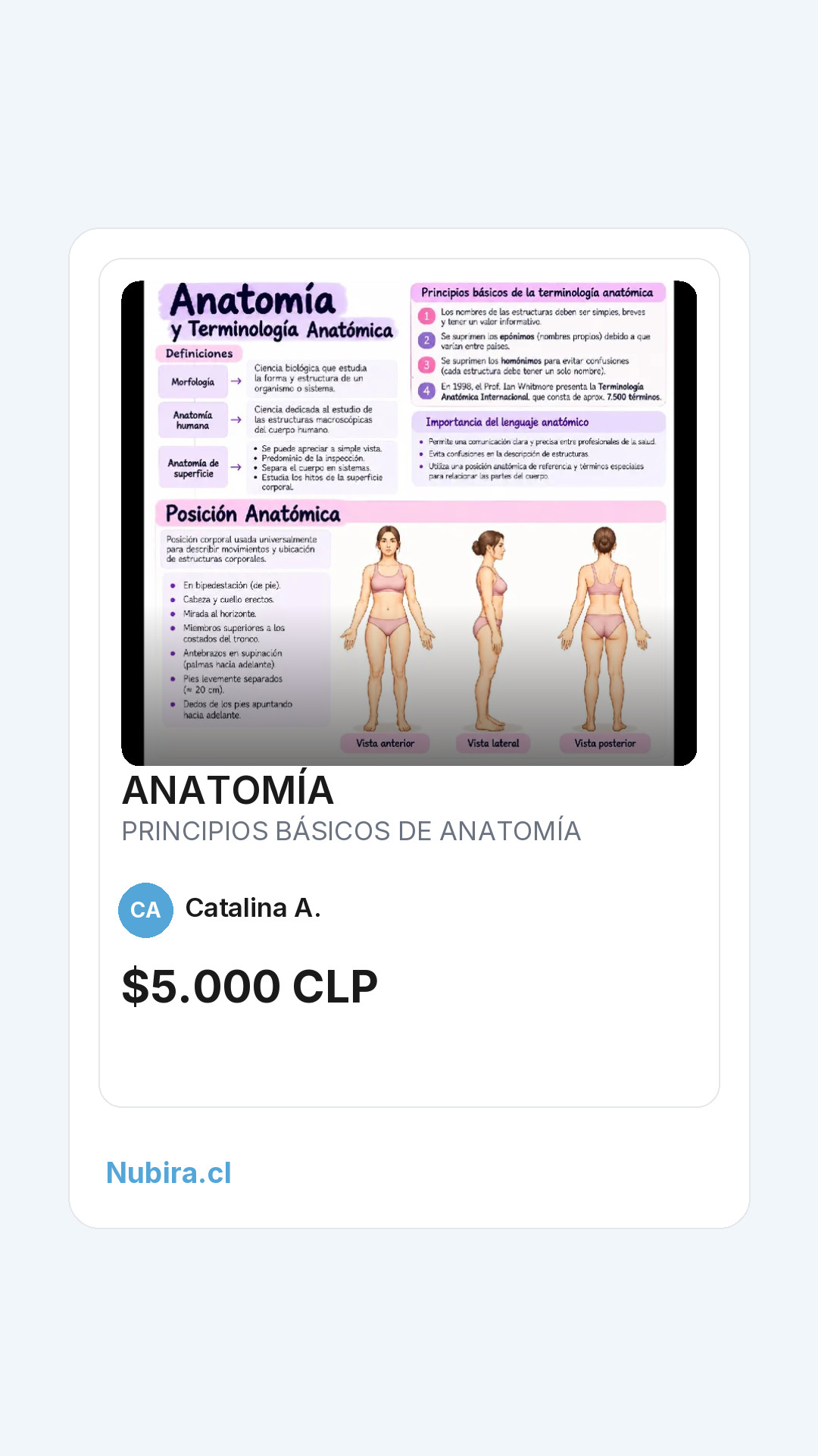 Vista previa historia