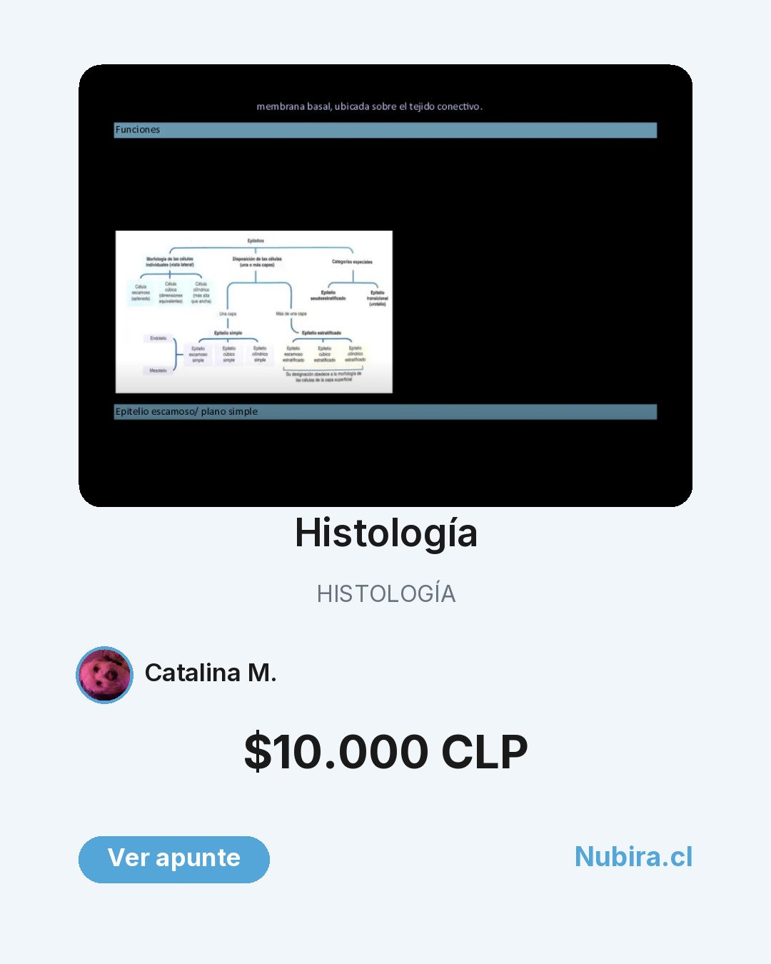 Vista previa publicación