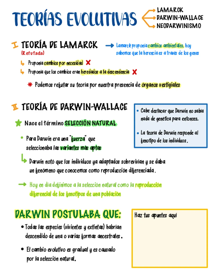 Domina los Fundamentos de la Evolución Biológica