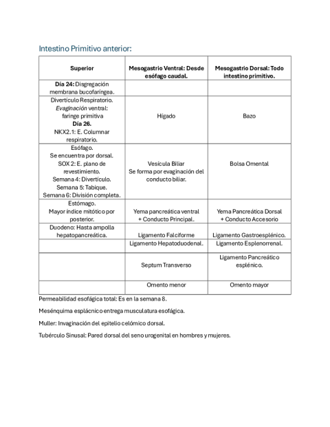 Embriología del Sistema Digestivo: Desarrollo Detallado