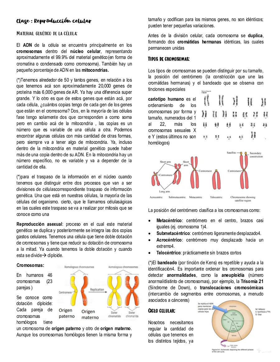 Tipeo Biología molecular