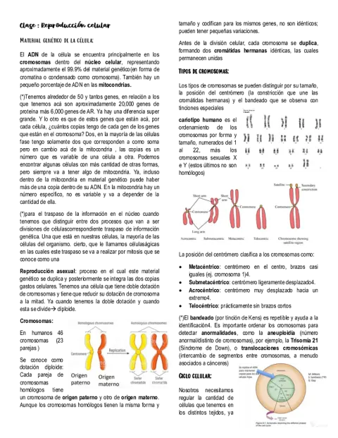Tipeo Biología molecular