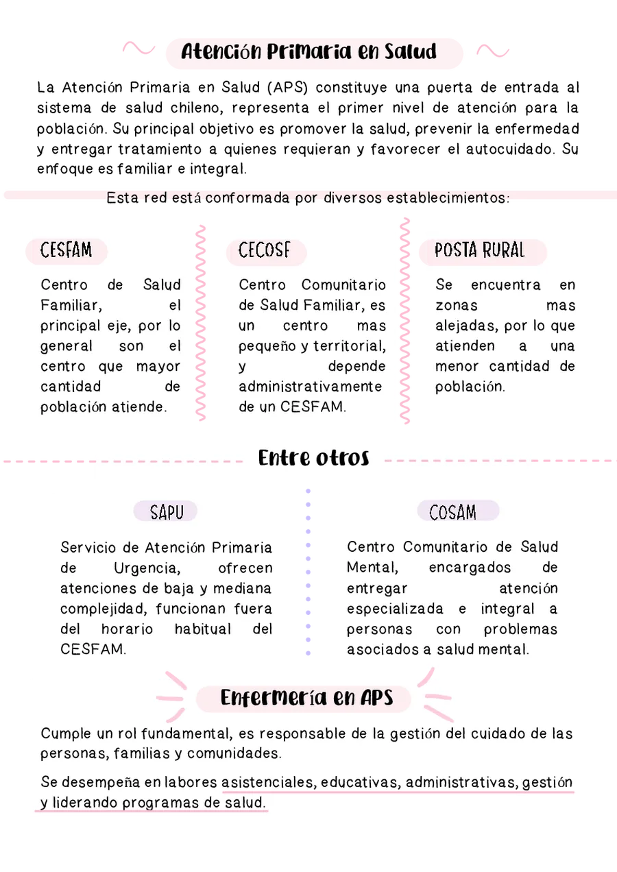 Material Internado APS 2026