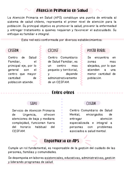 Material Internado APS 2026