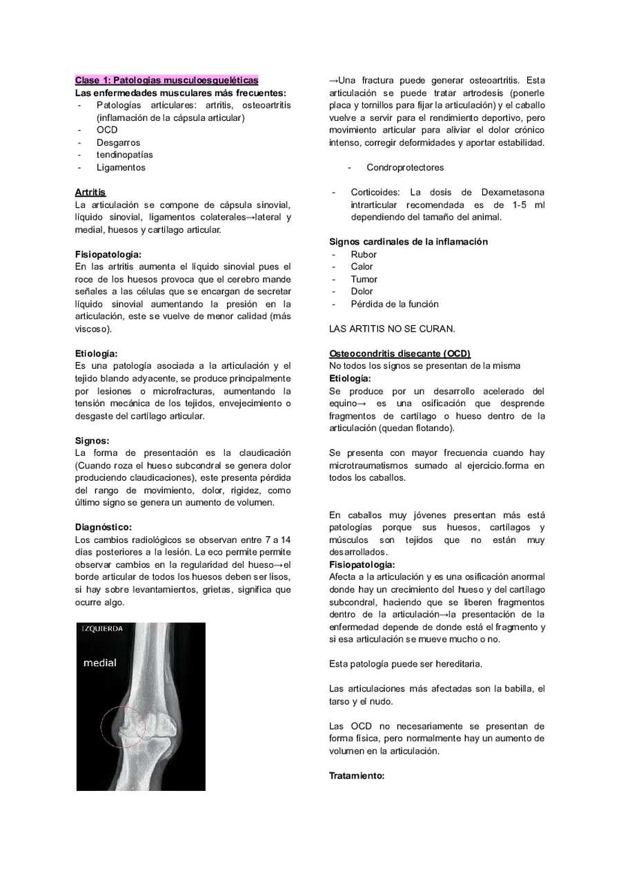 Apunte de medicina del equino 2
