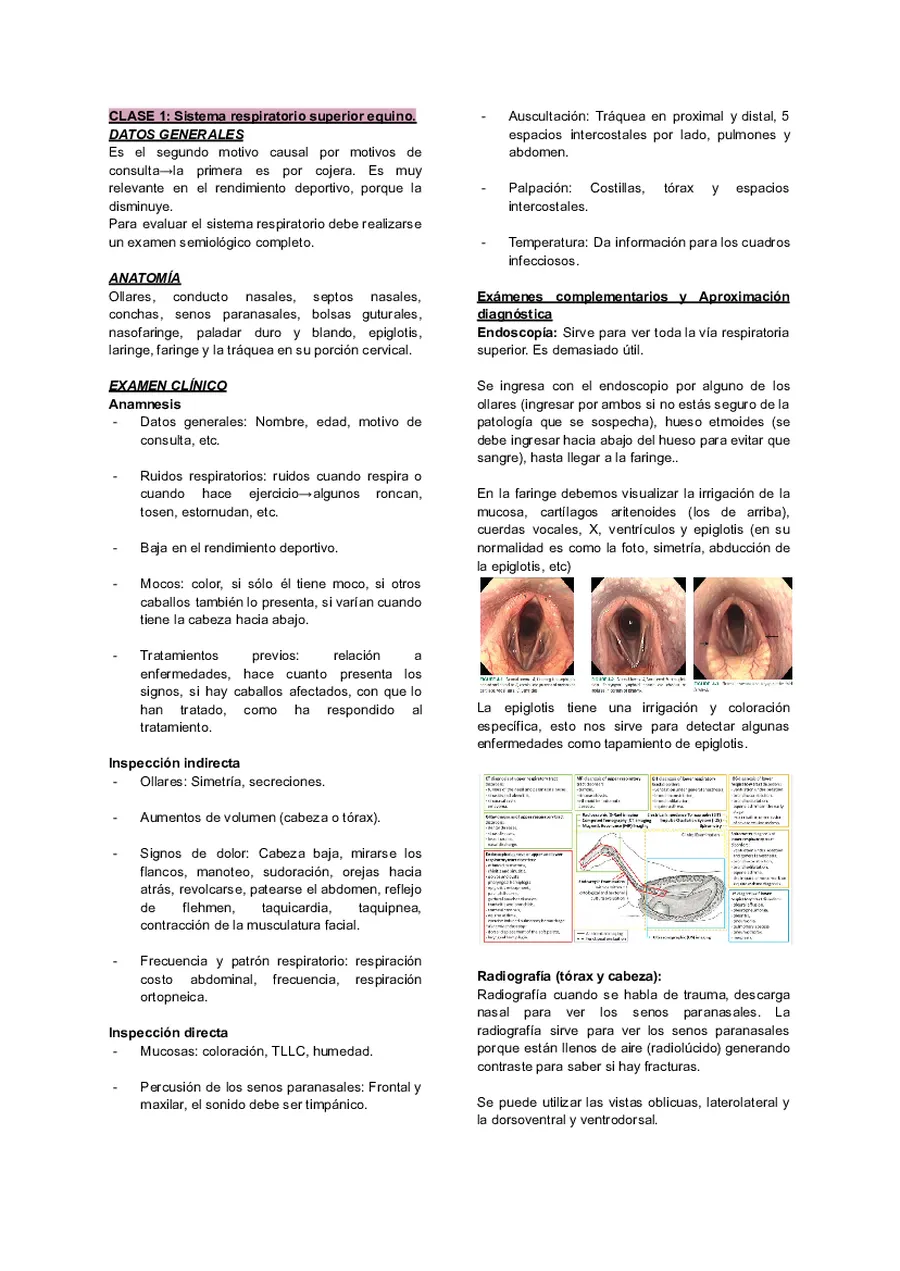 Medicina del equino 1