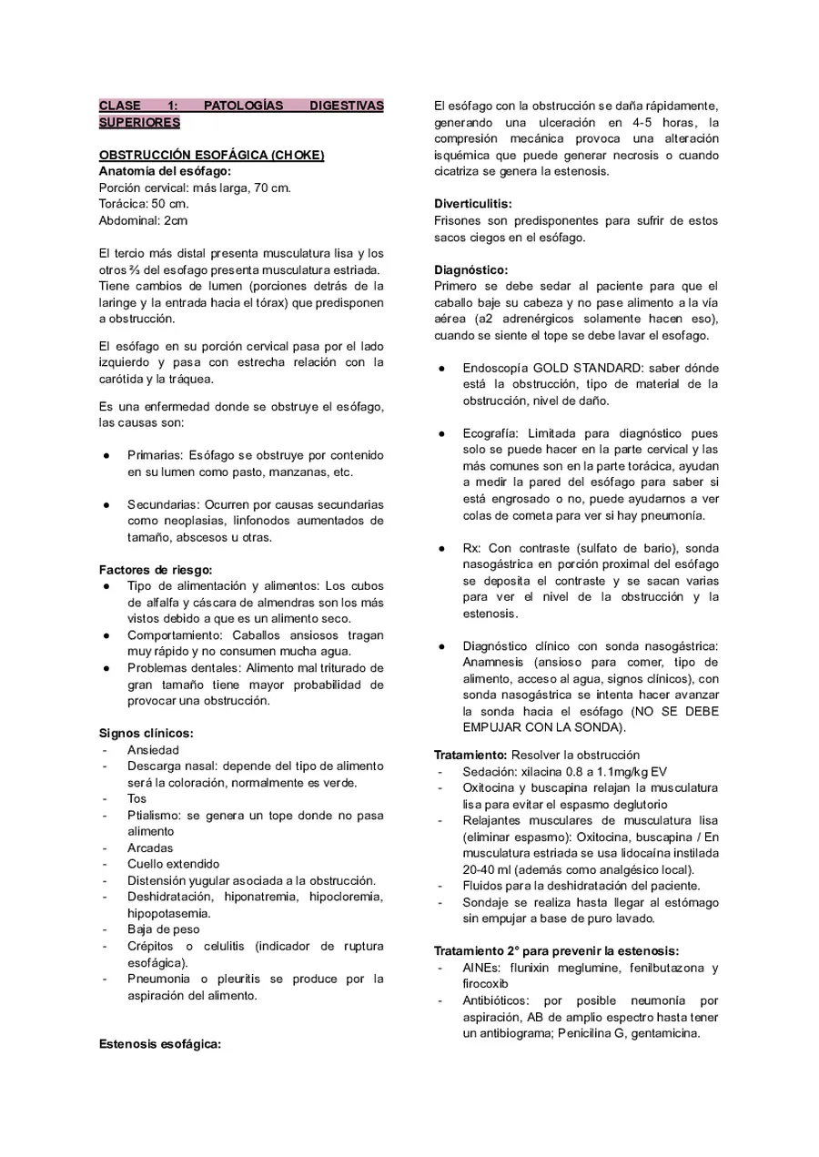 Medicina del equino 3