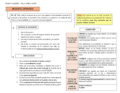 RESUMEN INCIDENTES CIVIL
