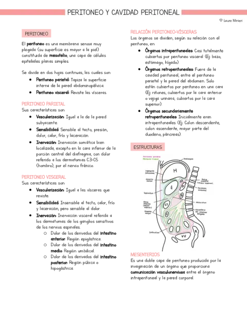 Resumen Anatomía Peritoneo y cavidad peritoneal (basado en libro Moore)