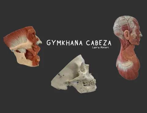 Rotulaciones Anatomía Cabeza (para Gymkhana)