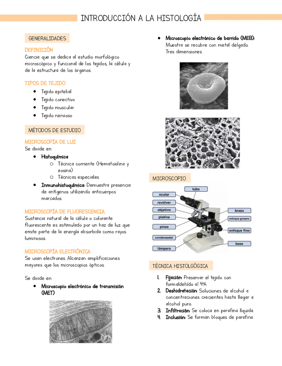 Resumen Introducción a la Histología (basado en libro Stevens y Lowe)