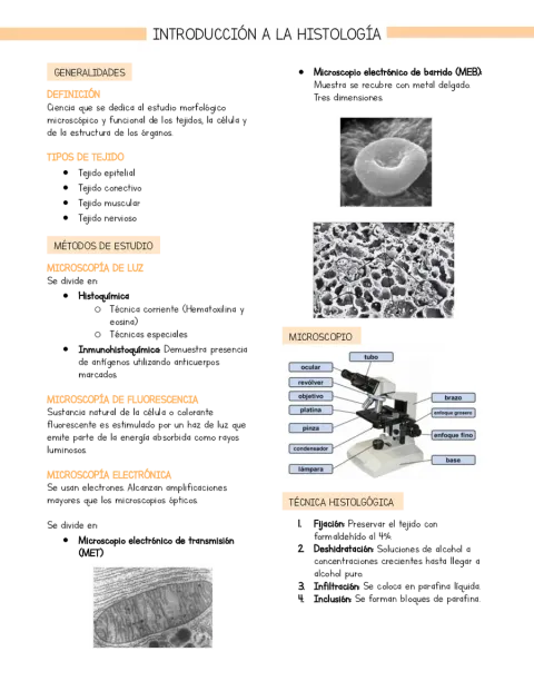 Resumen Introducción a la Histología (basado en libro Stevens y Lowe)