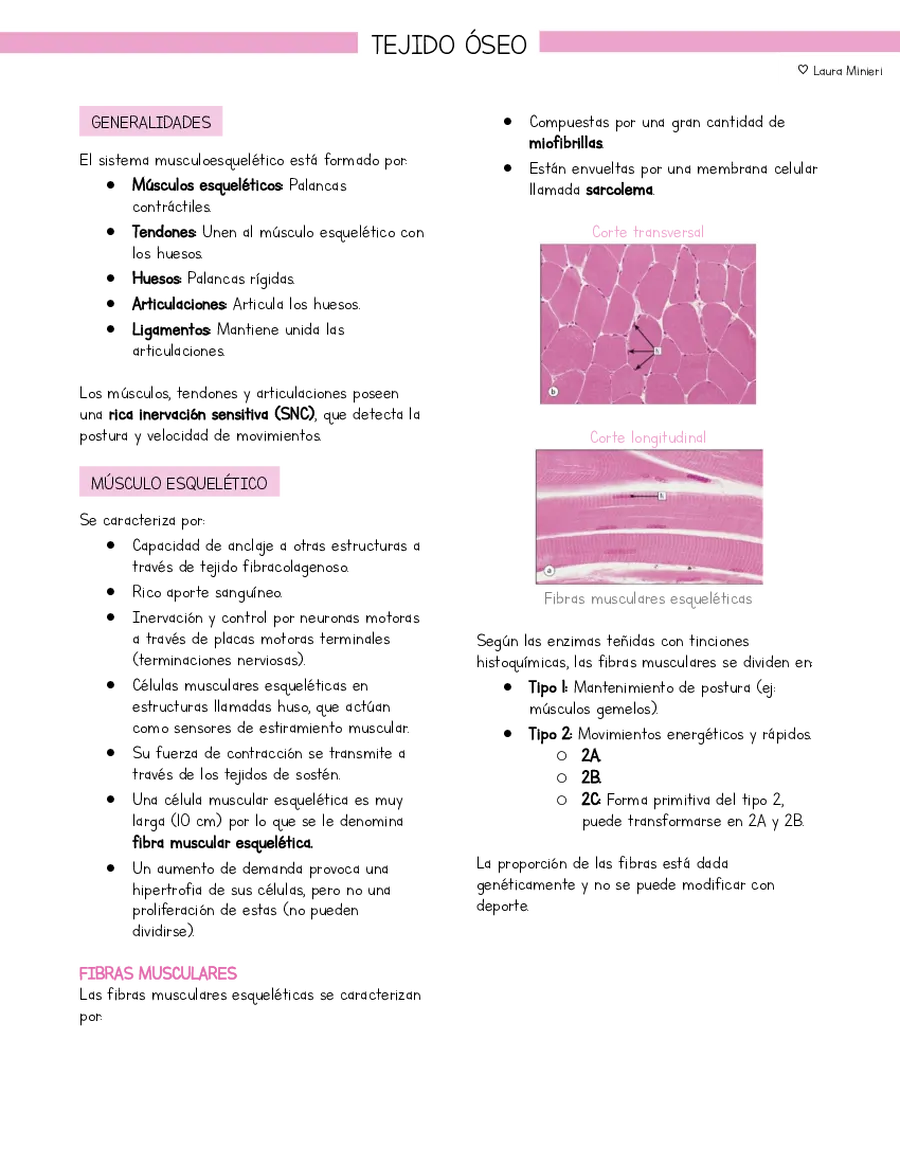 Resumen Histología Tejido óseo (basado en libro Stevens y Lowe)