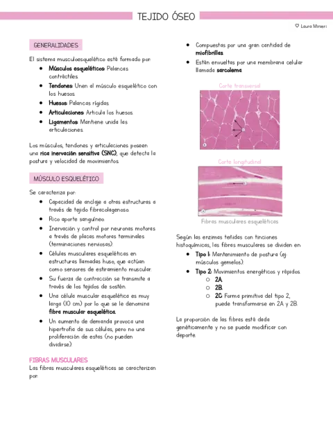 Resumen Histología Tejido óseo (basado en libro Stevens y Lowe)