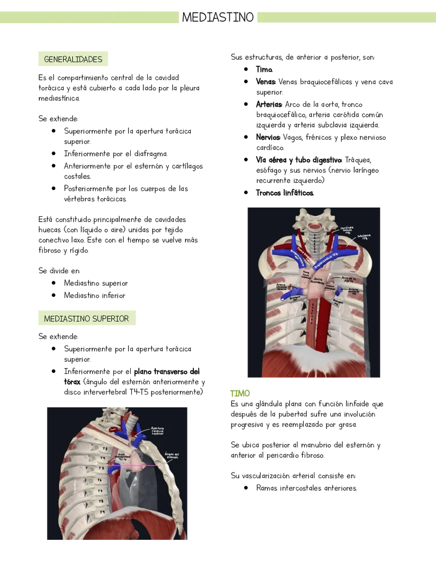 Resumen Anatomía Tórax Mediastino (basado en libro Moore)