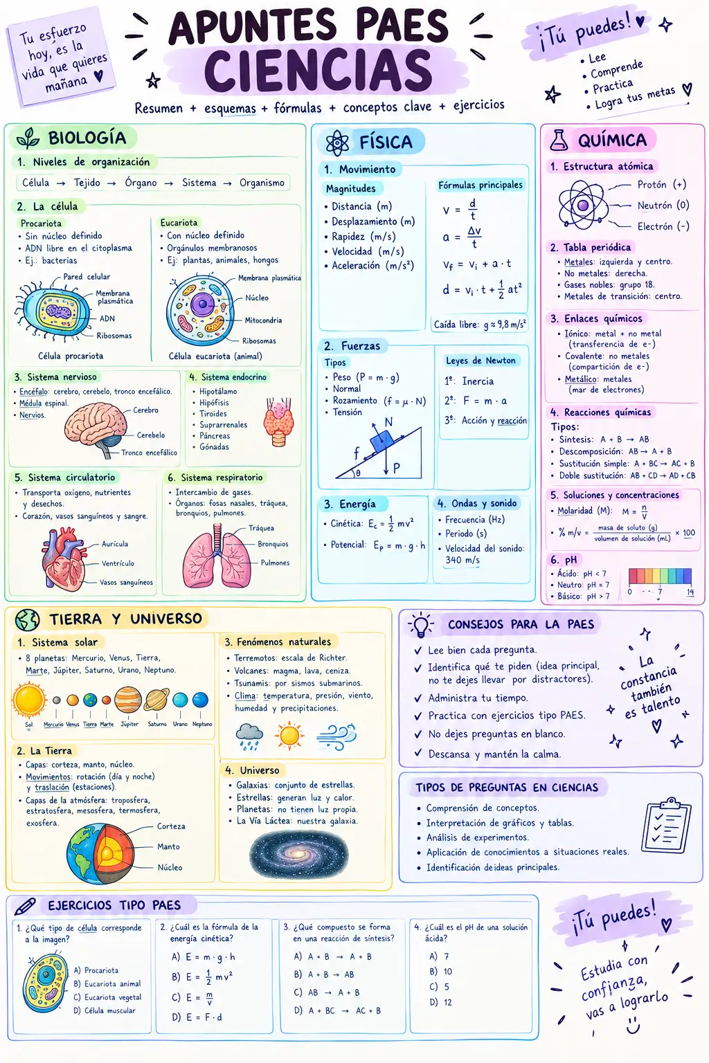 Apuntes paes