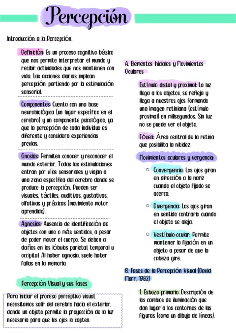 Resumen percepción