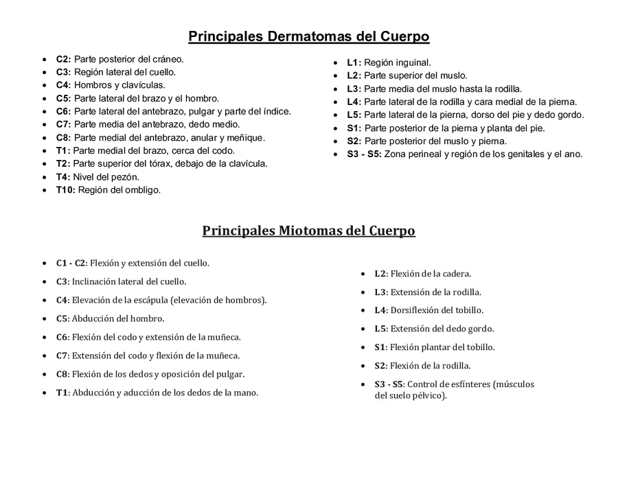 Dermatomas y miotomas