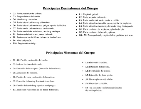 Dermatomas y miotomas