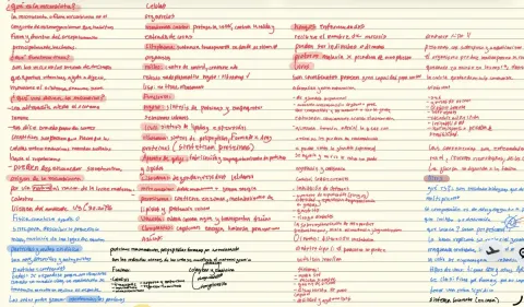 Apuntes generales biología