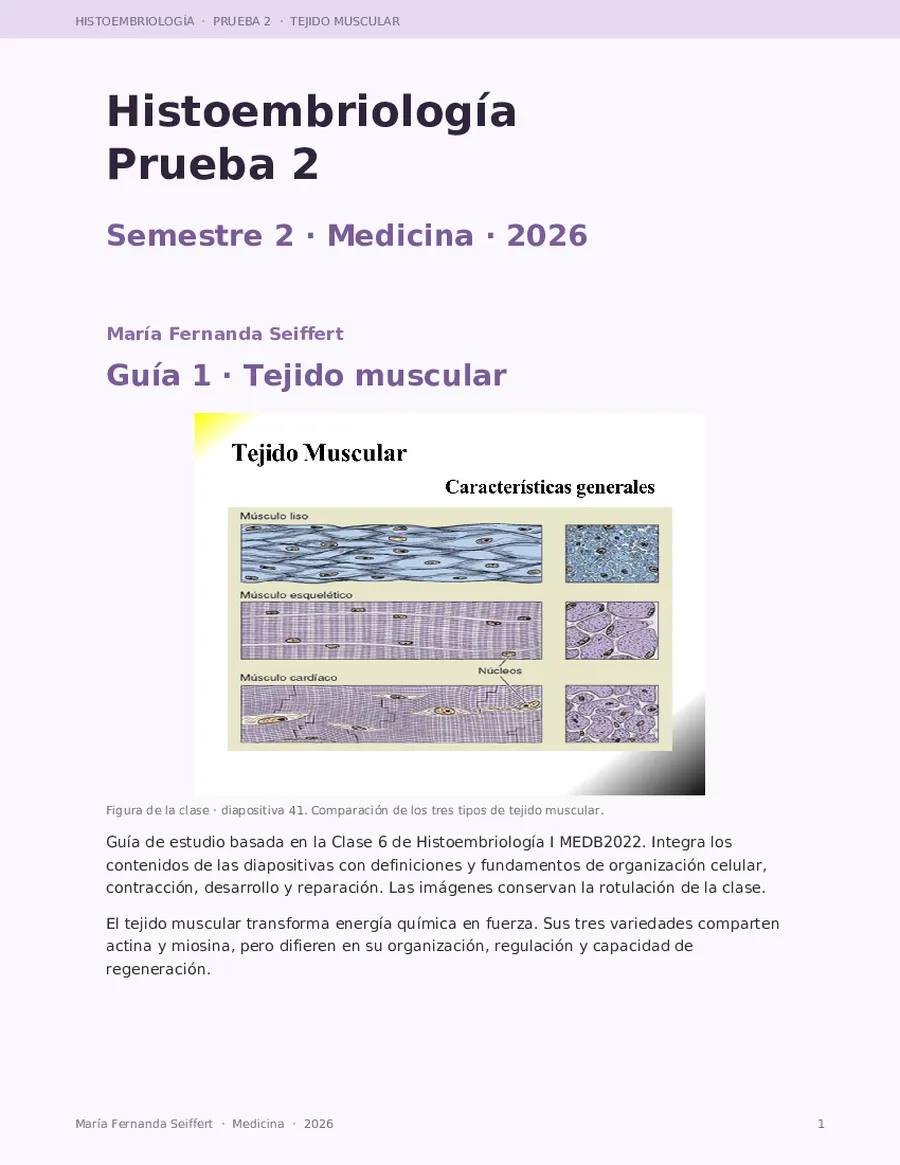 tejido muscular,tejido nervioso, embriología 1,2.
