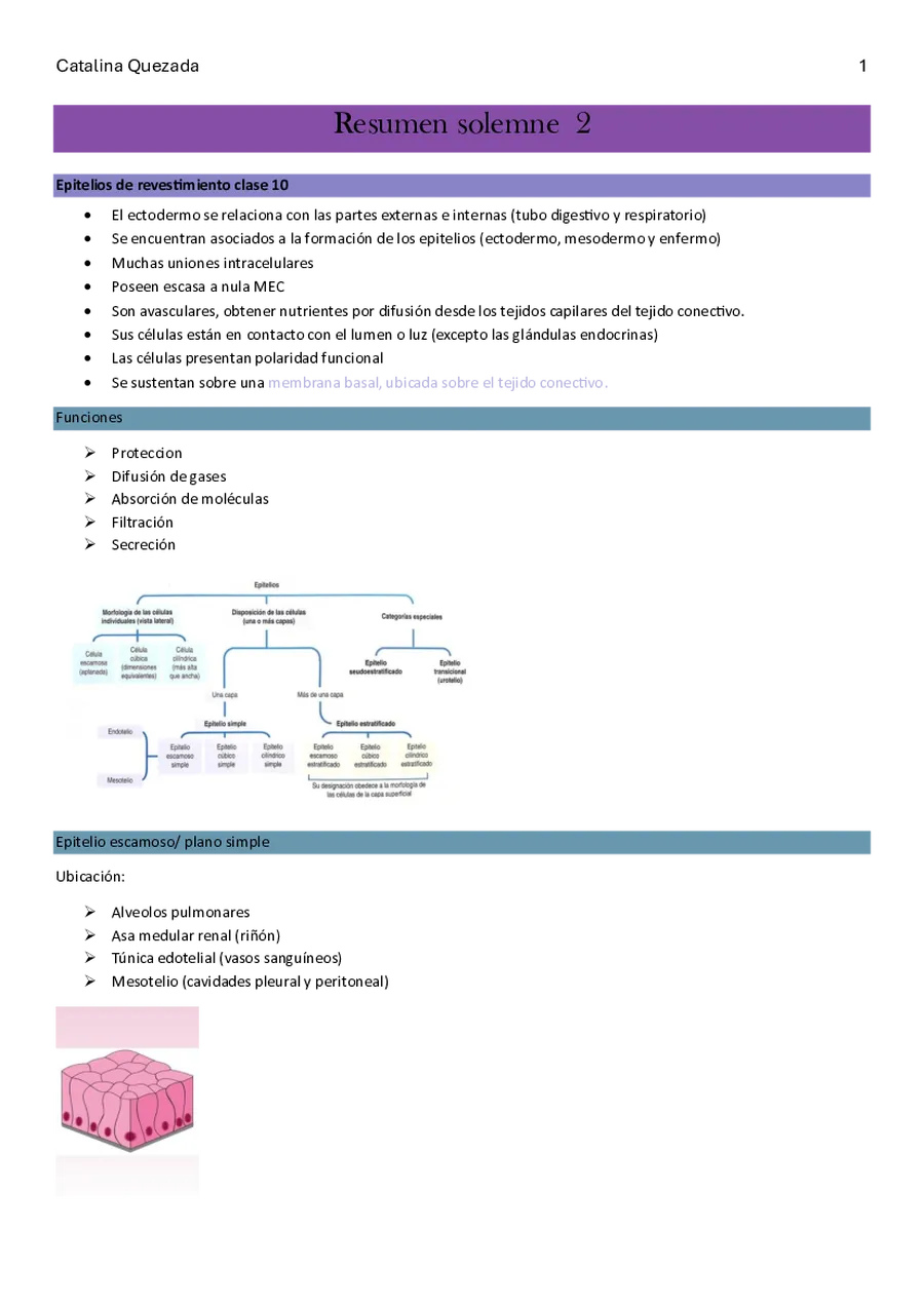 Histología